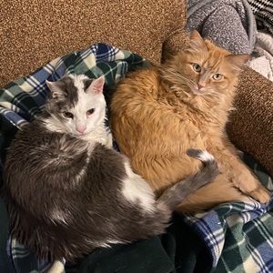 Meet your Posher, Caleb